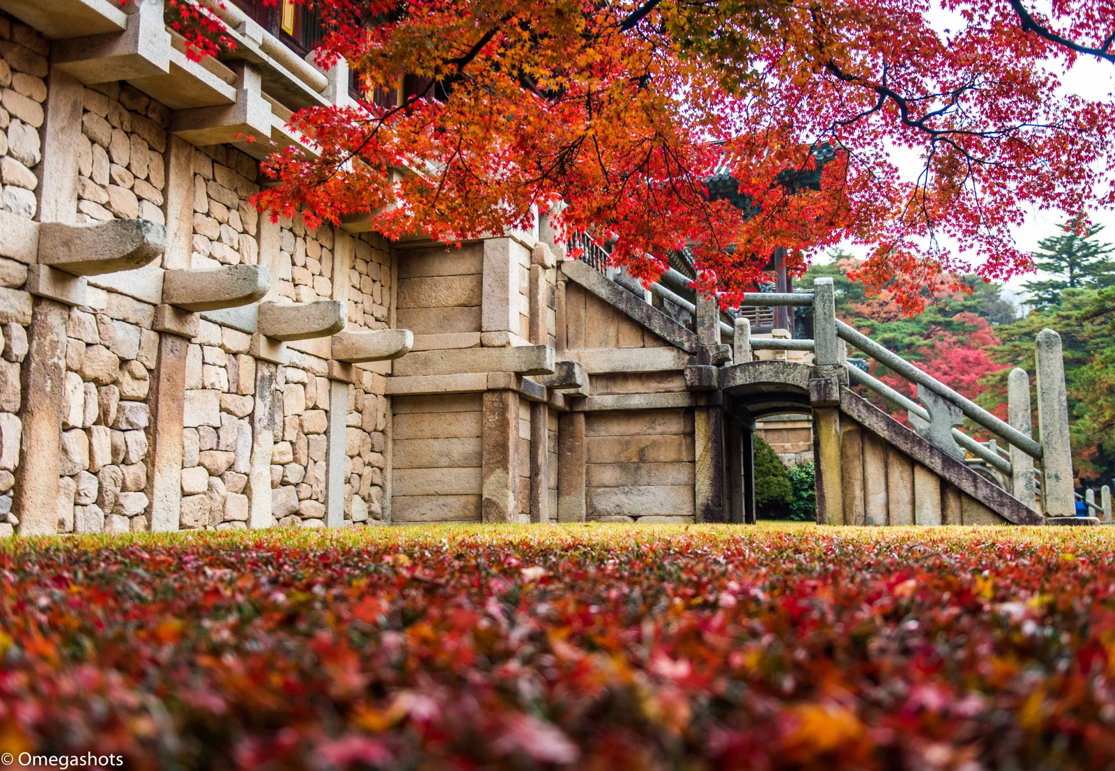 Bulguksa stone stairs and maple foliage photographed in November 2015, original credit preserved, not current conditions