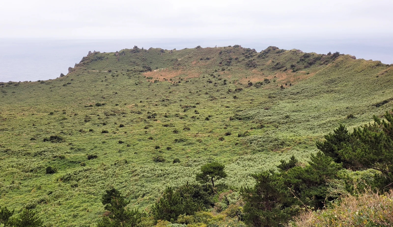 East Jeju Day Trip 2026: Seongsan, Hamdeok and Car-Free Routes Vegetated crater of Seongsan Ilchulbong in October 2022, not a current access or weather record