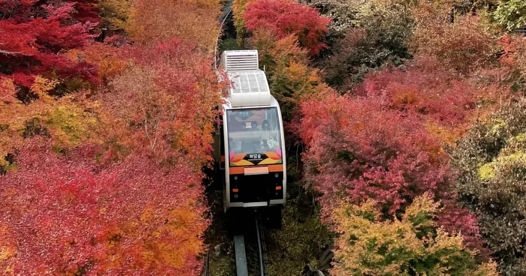 和談林賞楓2026|預約、單軌列車、首爾交通與楓葉路線 Krf01 Hwadam Forest Autumn Licensed Real Cover 1024x538